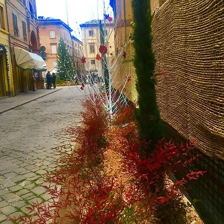 Luxury My 4* 托伦蒂诺